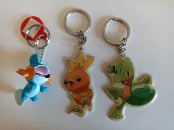 Lot 3 portes clé pokémon