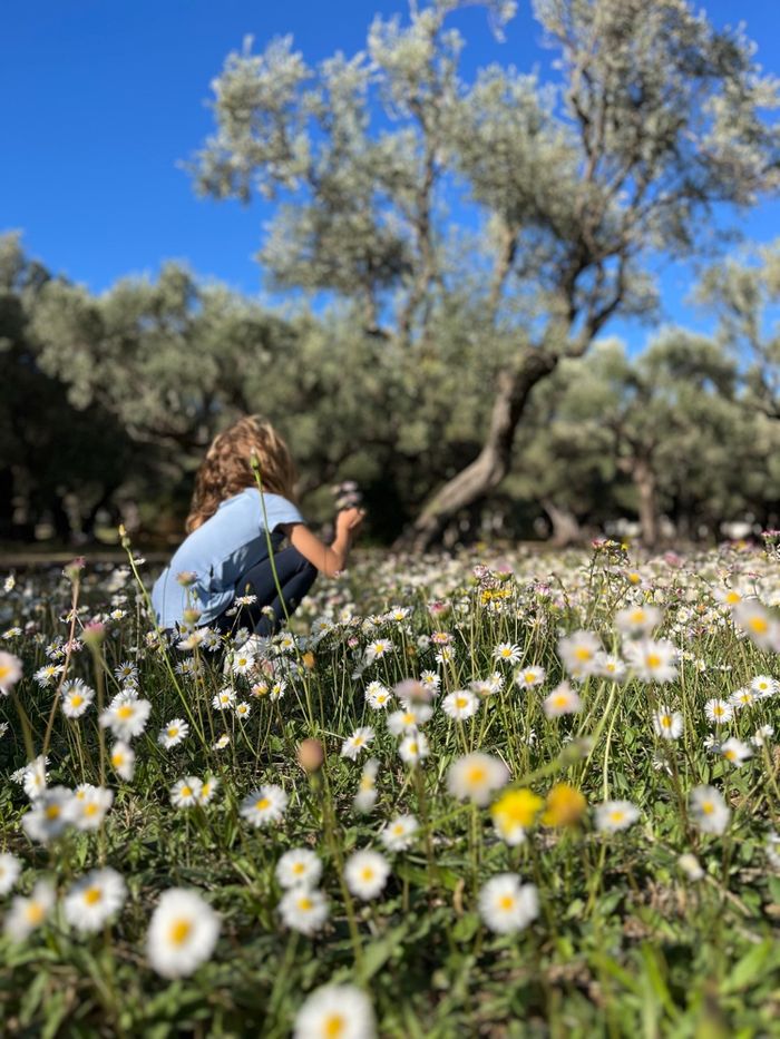 Veste garçon matelassé Lola Palacios - photo numéro 7