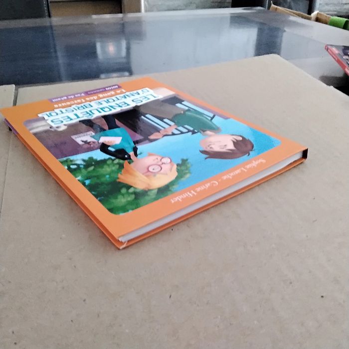 Le gang des farceurs-Les enquêtes d’ Anatole Bristol - photo numéro 4