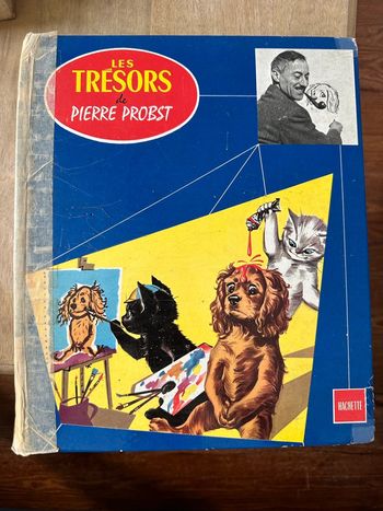 Grand livre ancien vintage Les trésors de Pierre Probst Caroline état satisfaisant bd
