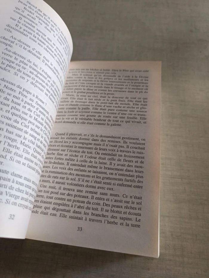 Livre les brigands de la forêt de skule - photo numéro 5