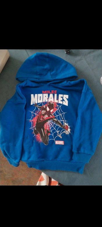 Sweat spiderman