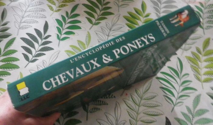 L'Encyclopédie des chevaux & poneys Ed. LLC - photo numéro 3