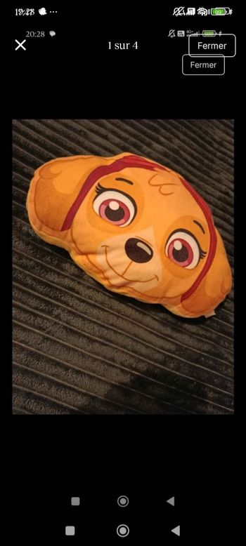 Coussin stella pat patrouille