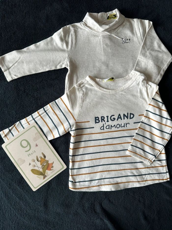 Lot 2 pulls / t-shirt manches longues 9 mois TAO