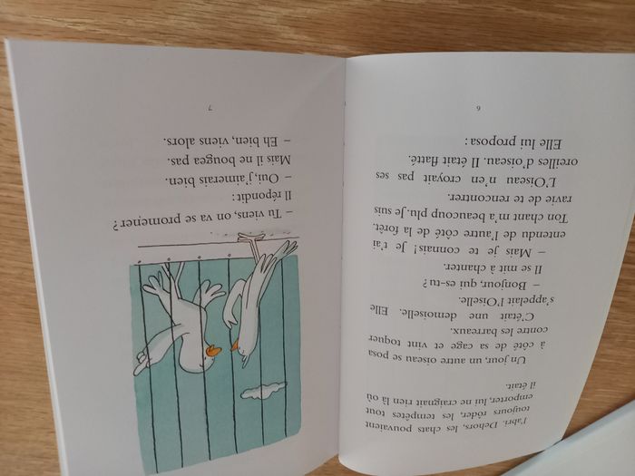 Oiseau Oiselle dès 6 ans - Neuf - photo numéro 2