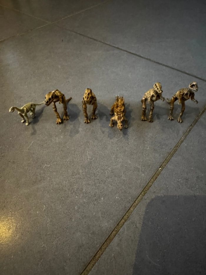 Lot de 6 squelettes de dinosaures: 1 Pachycephalosaure /