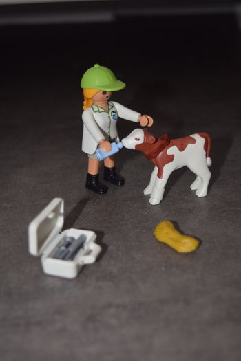 Playmobil,  femme  qui  soigne  un  veau