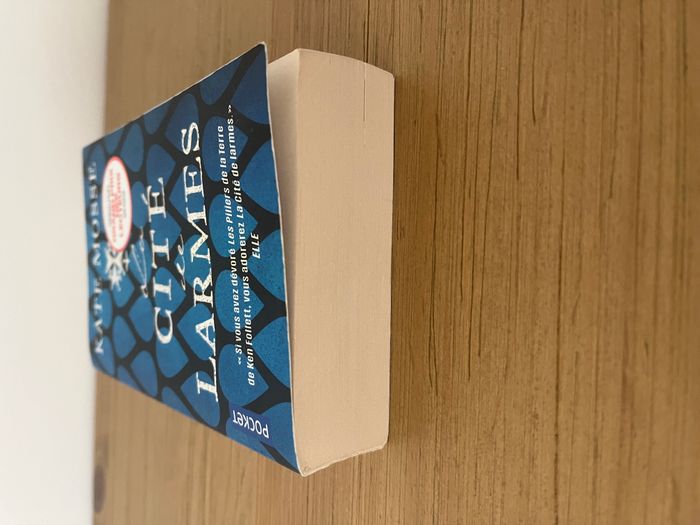 La cité des larmes - Kate Mosse - photo numéro 4