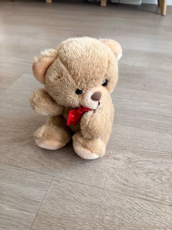 Peluche ours