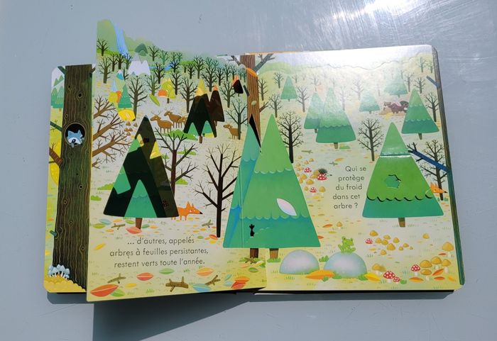 Usborne, livre collection coucou 🌲 Coucou! La Forêt 🍁 - photo numéro 7
