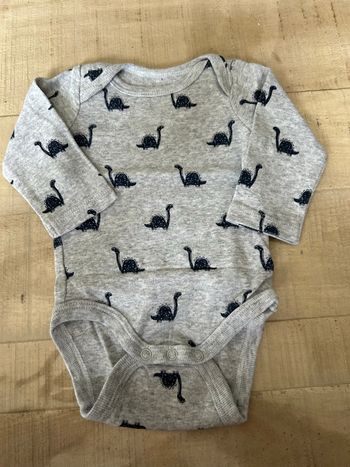 Body gris dinosaure
