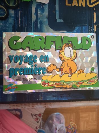 Garfield voyage en première 