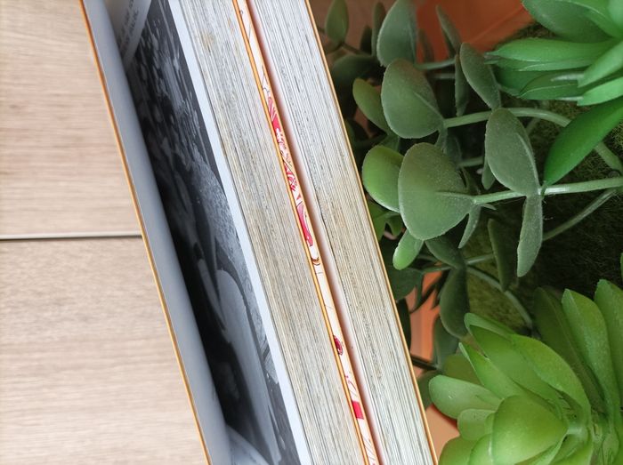 Lot 2 mangas card captor Sakura numéro 11 et 12 pika - photo numéro 5