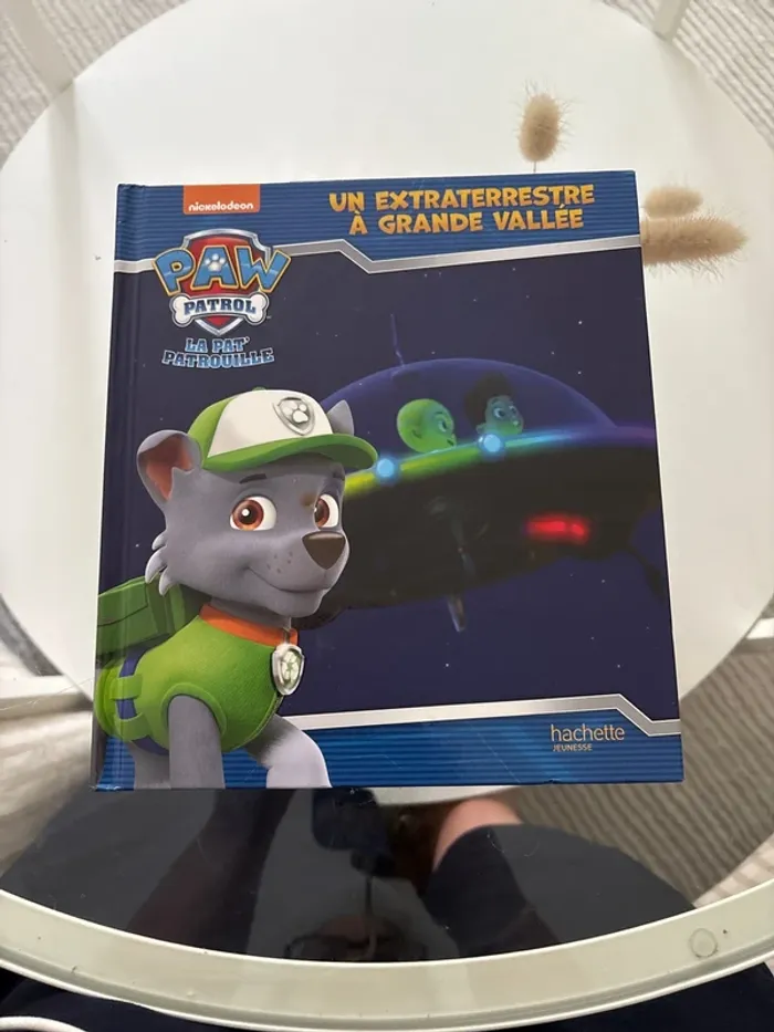 Un extraterrestre à grande vallée