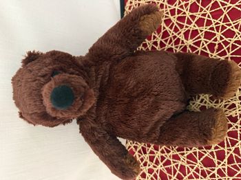 DJUNGELSKOG Peluche, brun ours ikea