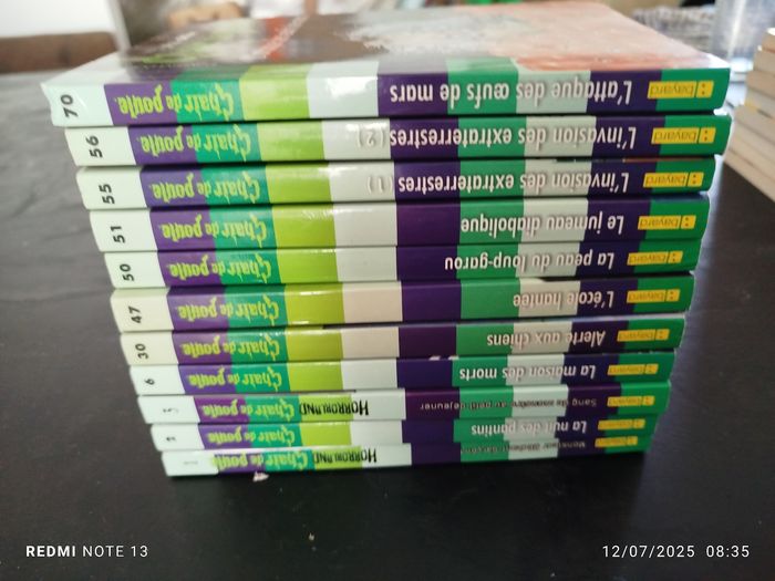 Lot 11 livres chair de poule