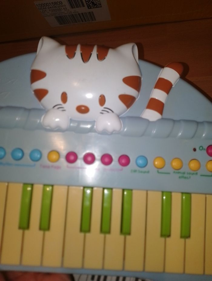 Piano musical chat
Animal - photo numéro 8