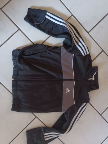 Veste adidas taille 10 ans