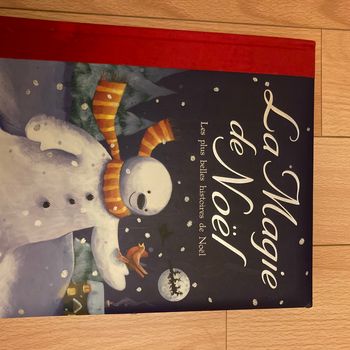#livre# la magie de Noël