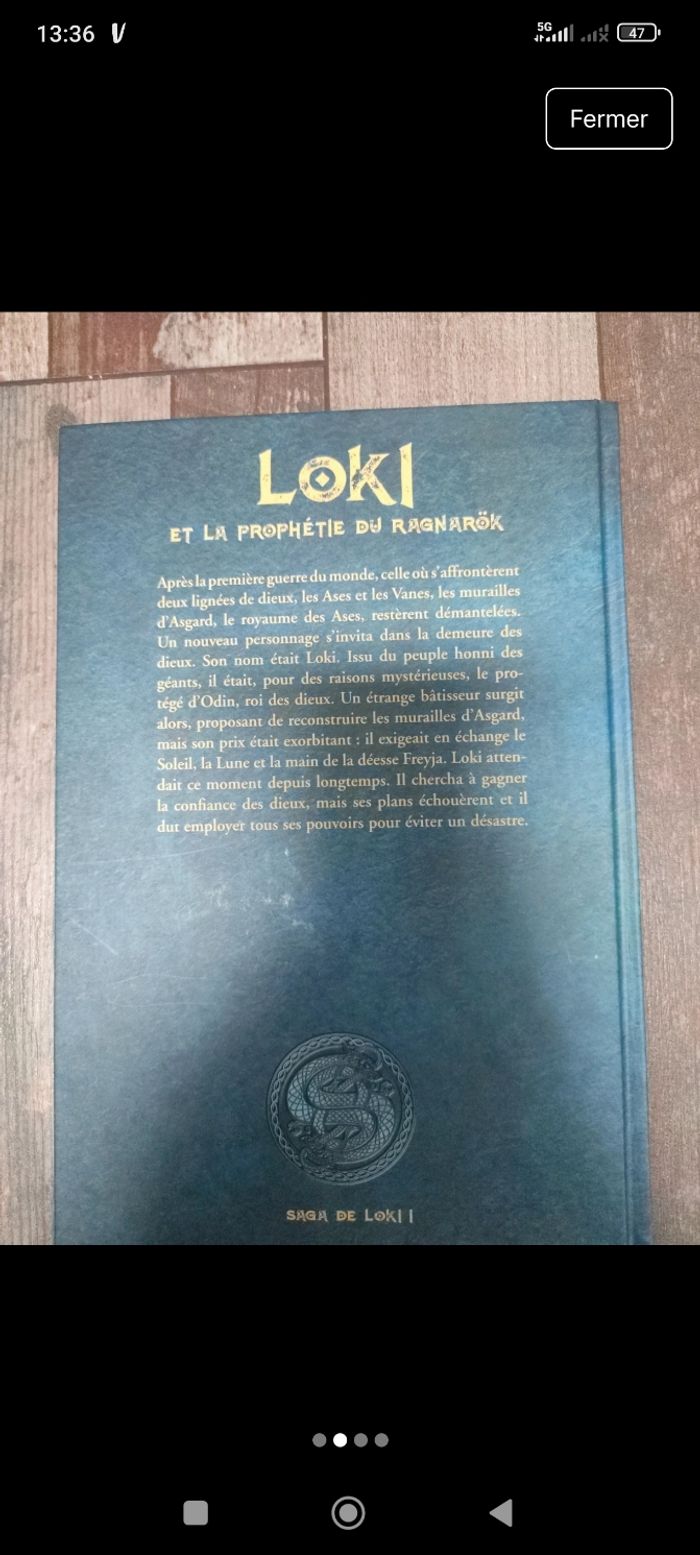 Loki et la prophétie du Ragnarok - photo numéro 2