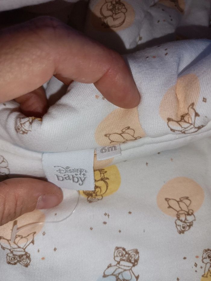 Pilote hiver Disney - photo numéro 5