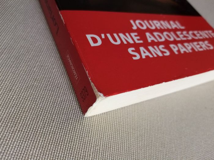 Livre : Loriane K - photo numéro 7