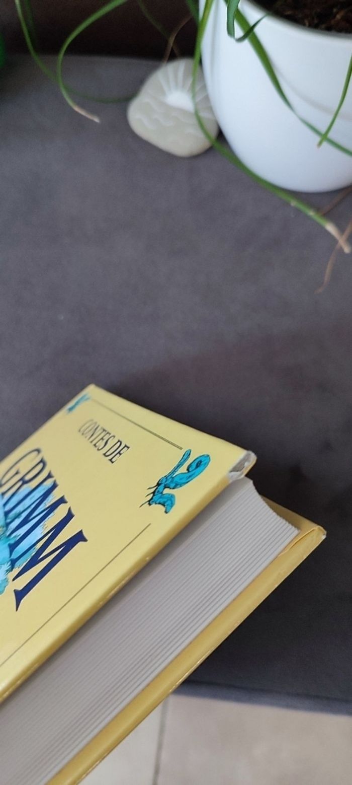 Contes de Grimm - photo numéro 3