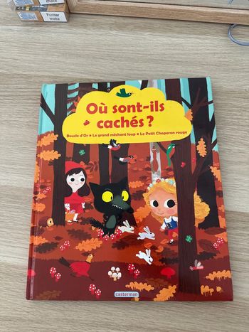 Livre cherche et trouve