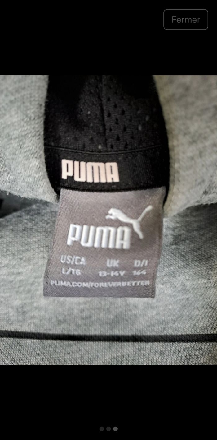 Sweet puma - photo numéro 3