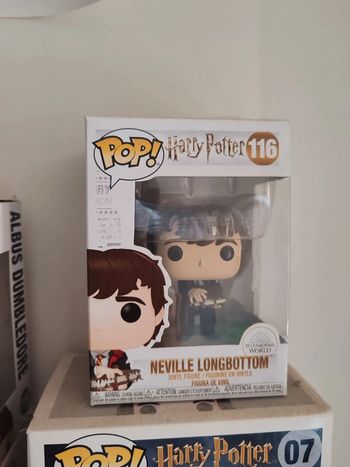 Pop Harry Potter