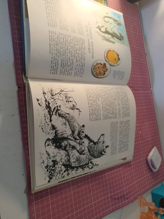 decouvrir et connaître la terre - photo numéro 3