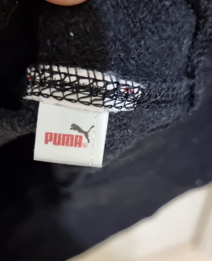 Sweet Puma - photo numéro 5