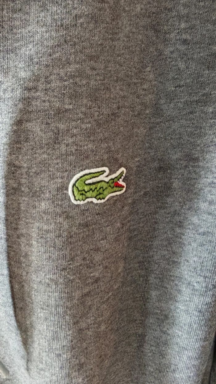 Sweatshirt lacoste à capuche - photo numéro 2
