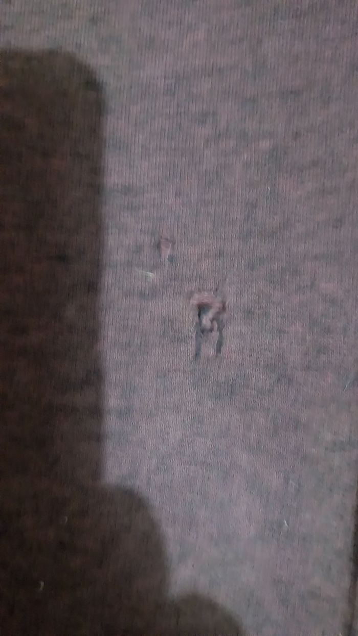 1 lot de 12 vêtements 10 ans - photo numéro 7