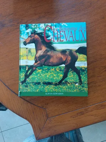 Le royaume des chevaux