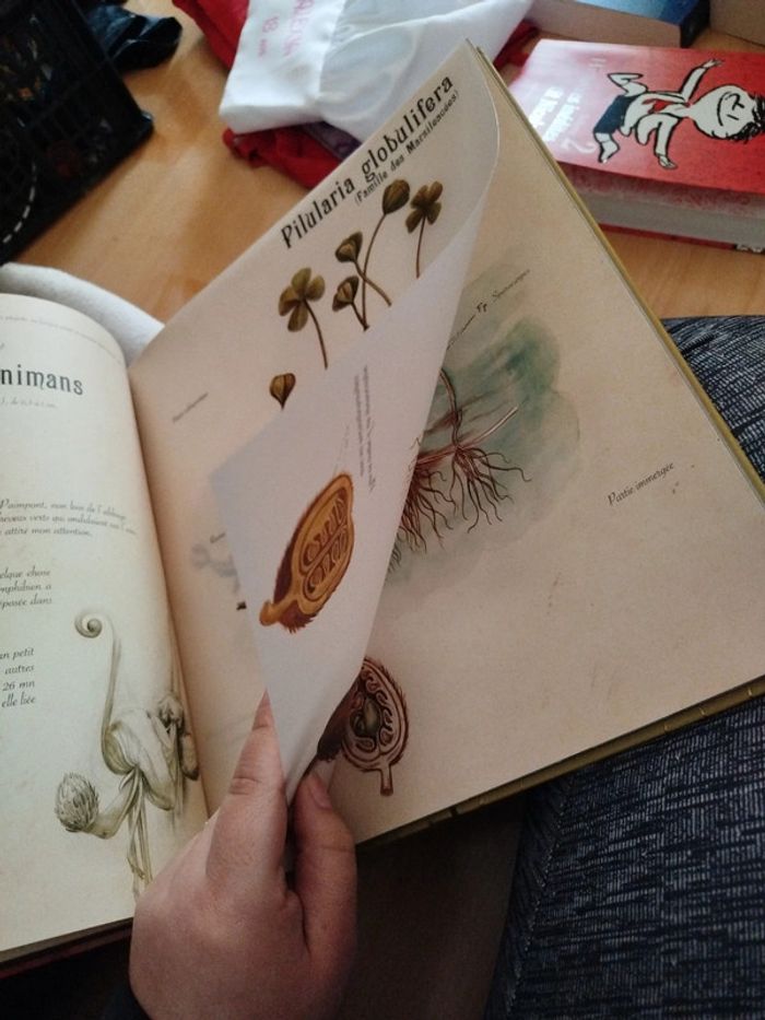 Très beau livre sur les fee - photo numéro 6