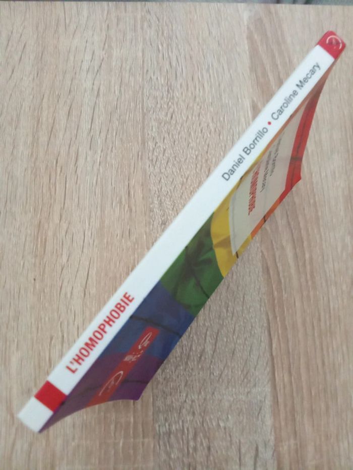 D. Borrillo / C. Mecary ⭐ L'homophobie - photo numéro 3