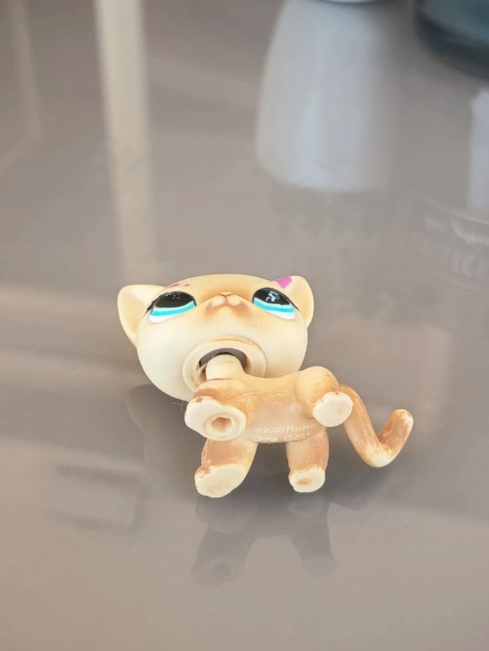 Littlest Pet Shop #816
Beige and tan short hair european cat - photo numéro 3