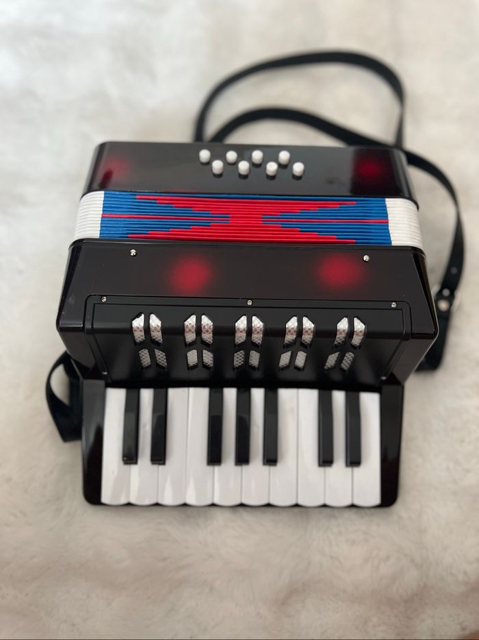 Accordéon pour enfant - photo numéro 4