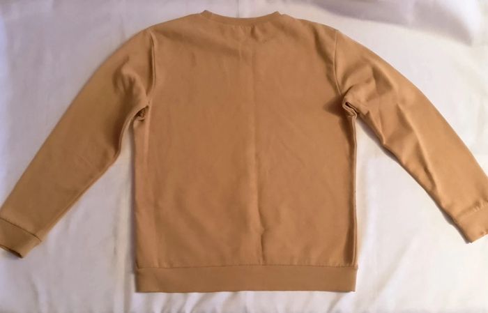 Pull triceratops. - photo numéro 3