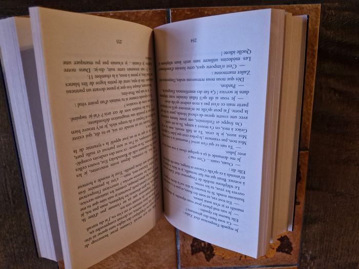 La proie idéale de Sophie Hannah - photo numéro 3