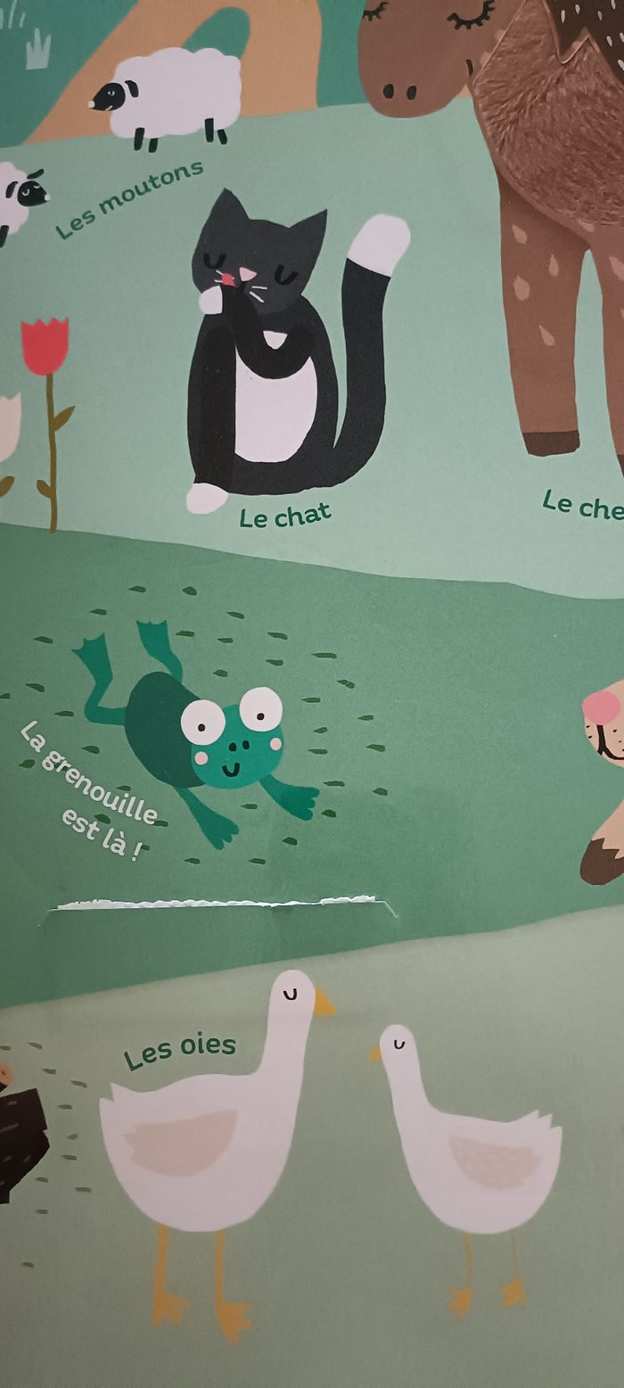 Mon très grand livre d éveil - les saisons - photo numéro 4
