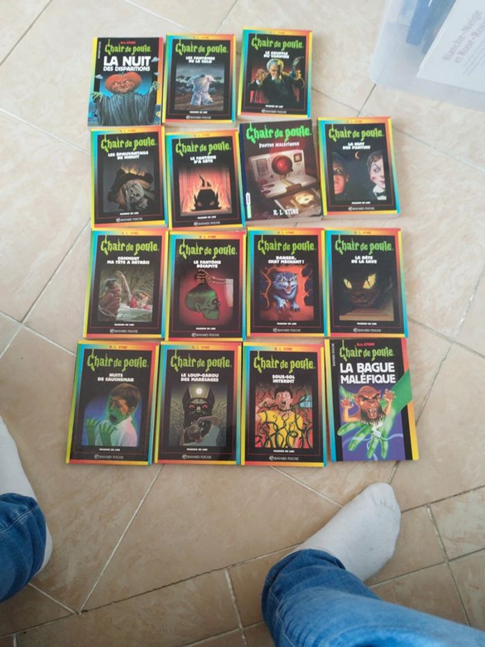 Lot de 18 livres chair de poule et un vallée fantôme