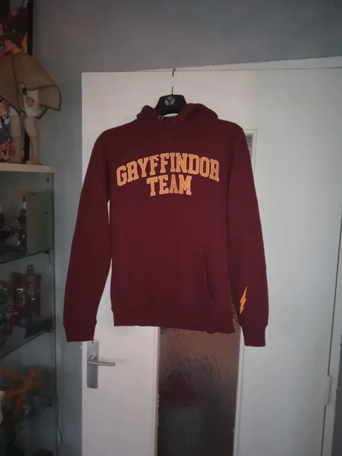 Pull Harry Potter Gryffindor team - photo numéro 3