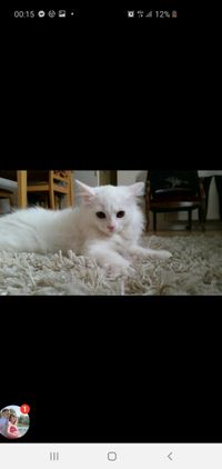 profil