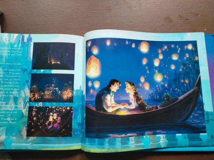 Raiponce - photo numéro 3