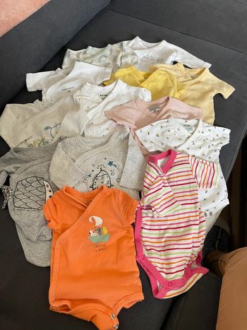 Lots bodies