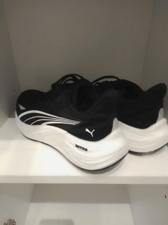 Basket puma