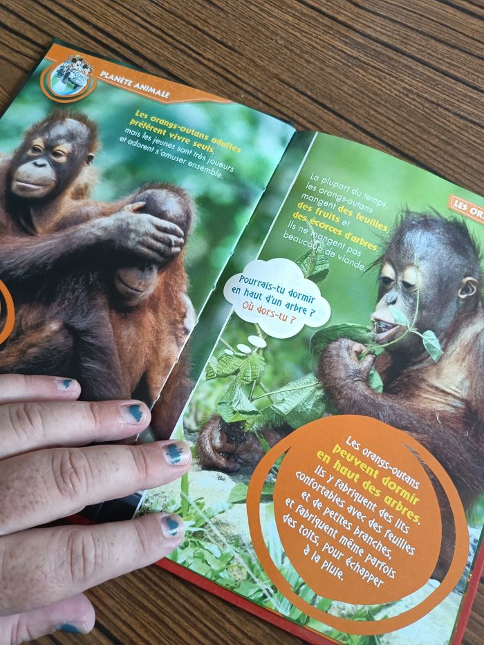 Mes ami les animaux - photo numéro 2